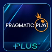 P99 provider logo 17