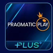 P99 provider logo 23