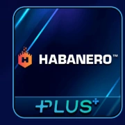P99 provider logo 24